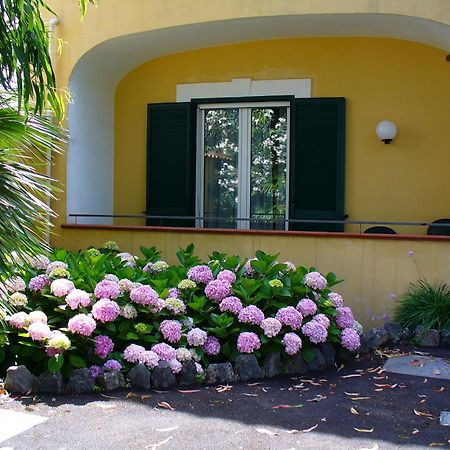 Hotel La Marticana Ischia Dış mekan fotoğraf