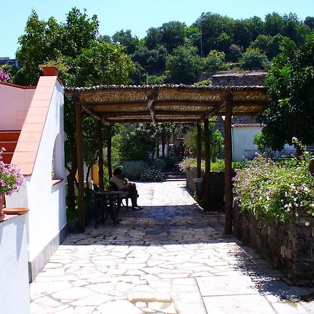 Hotel La Marticana Ischia Dış mekan fotoğraf