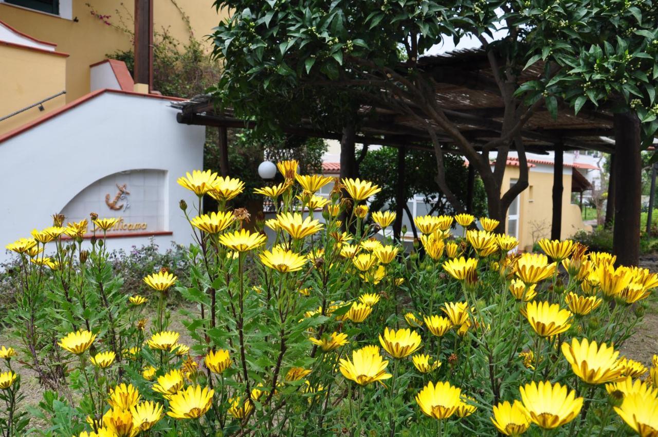 Hotel La Marticana Ischia Dış mekan fotoğraf