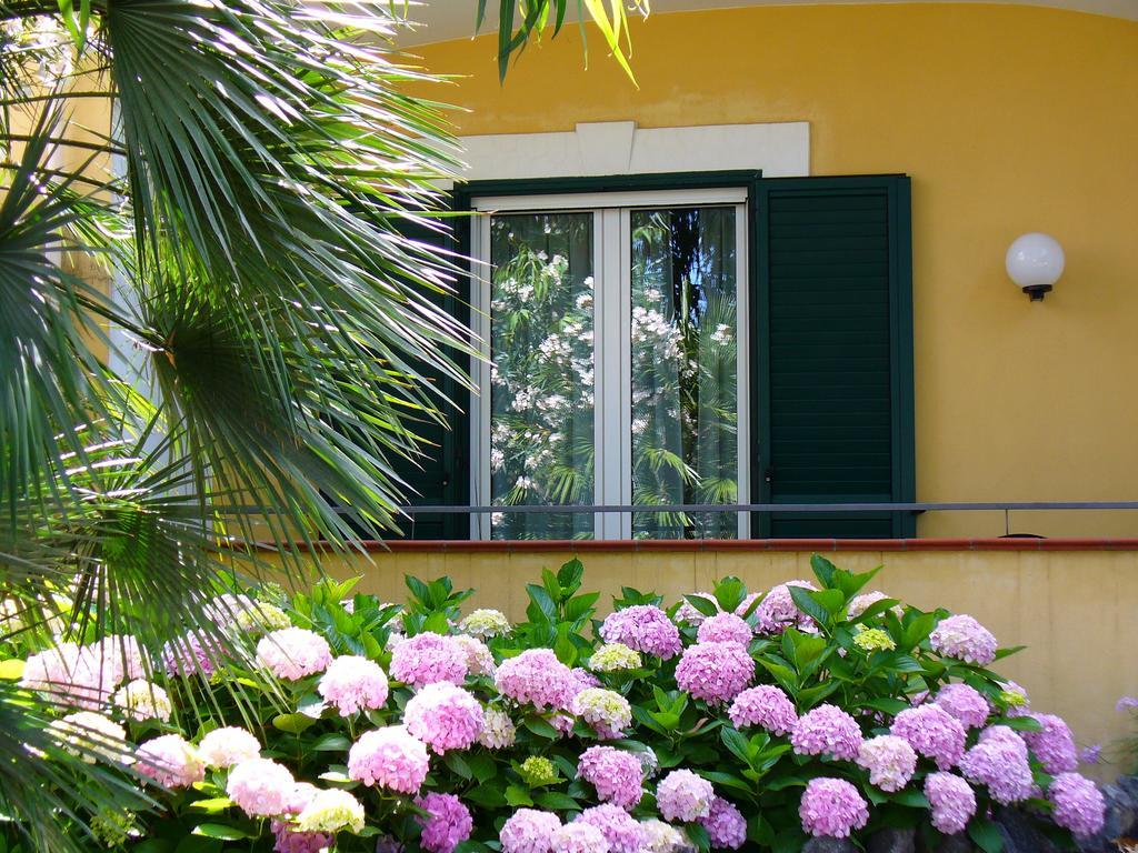 Hotel La Marticana Ischia Dış mekan fotoğraf