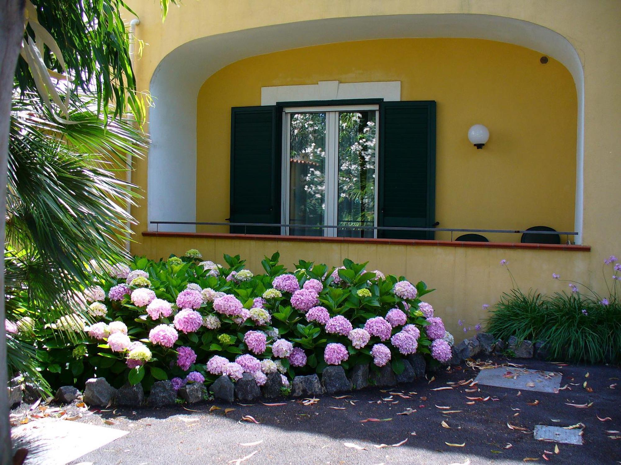 Hotel La Marticana Ischia Dış mekan fotoğraf