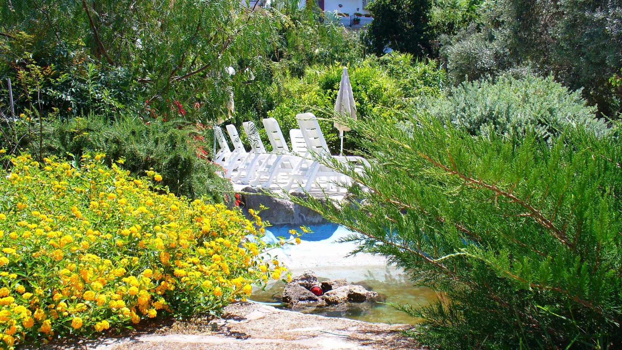 Hotel La Marticana Ischia Dış mekan fotoğraf