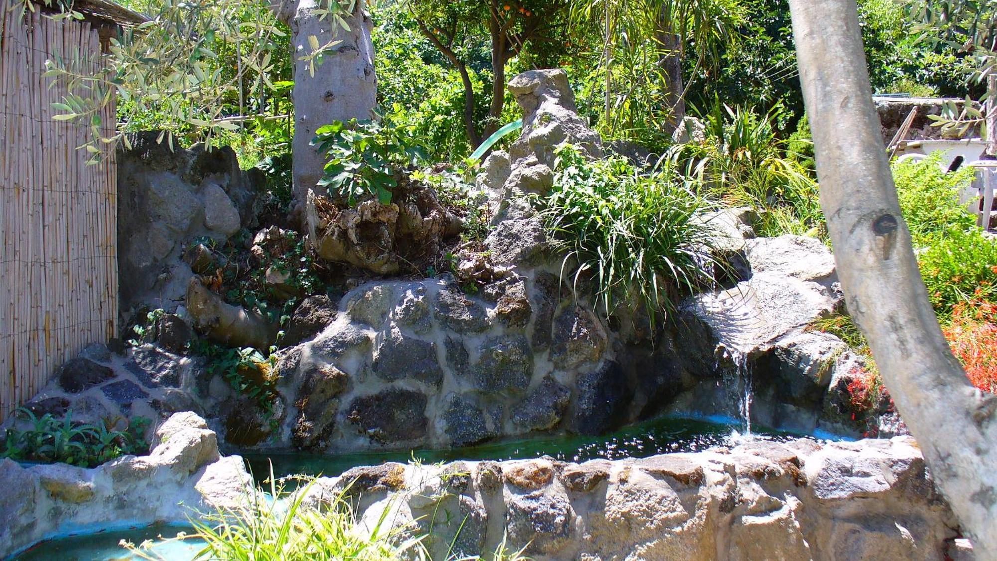 Hotel La Marticana Ischia Dış mekan fotoğraf