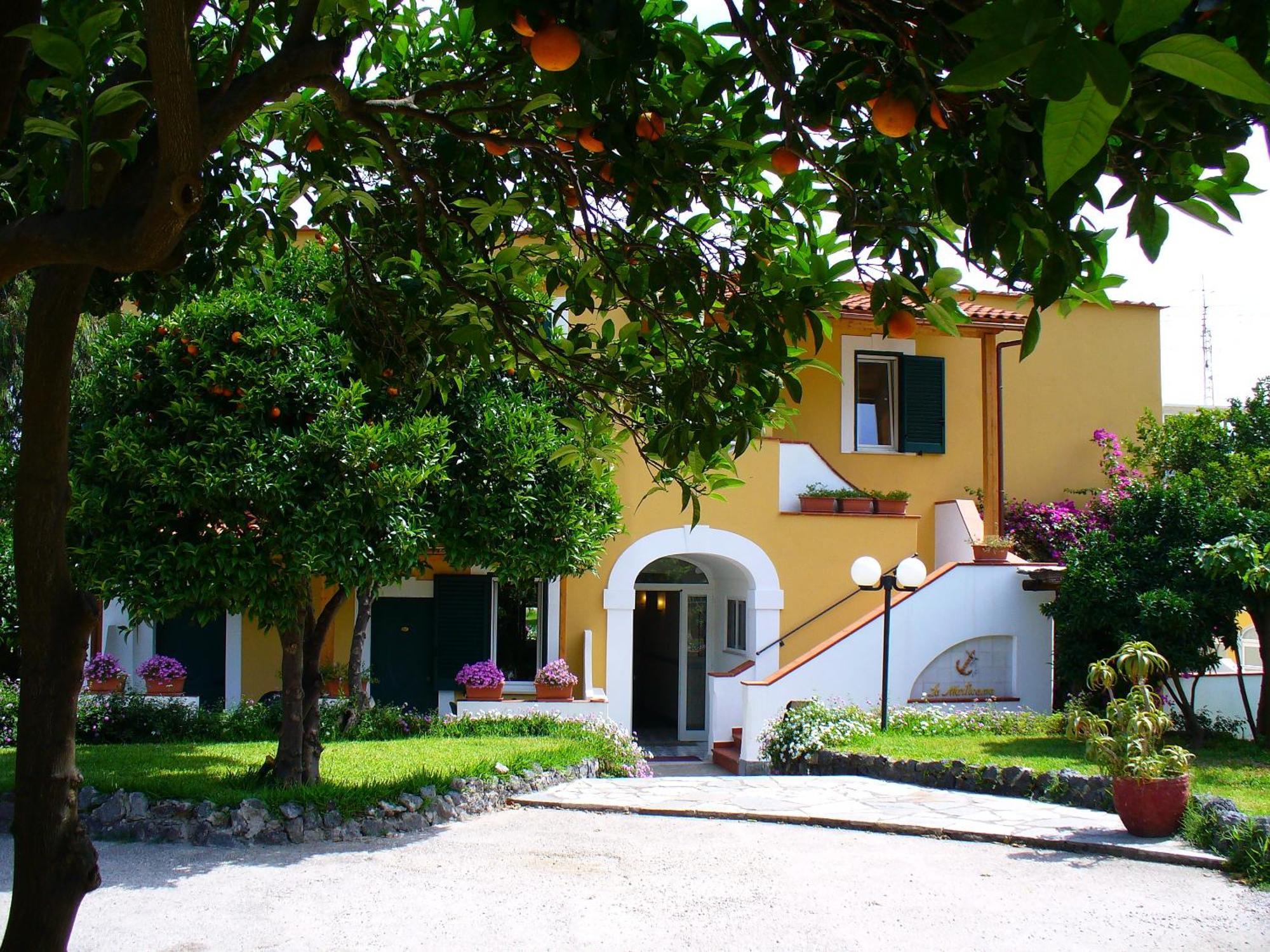 Hotel La Marticana Ischia Dış mekan fotoğraf