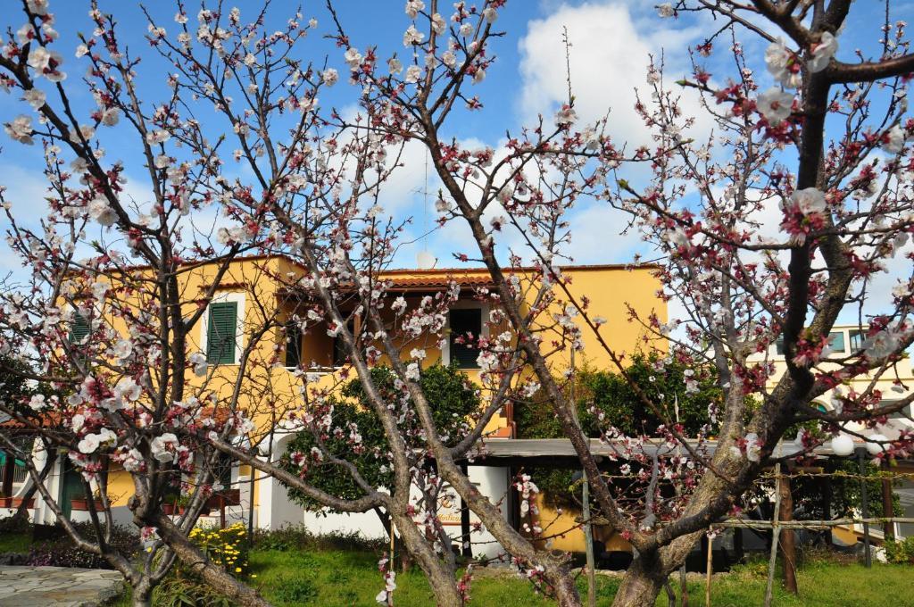 Hotel La Marticana Ischia Dış mekan fotoğraf