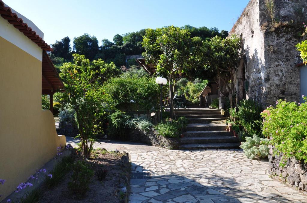 Hotel La Marticana Ischia Dış mekan fotoğraf