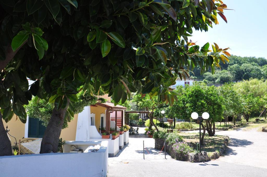 Hotel La Marticana Ischia Dış mekan fotoğraf