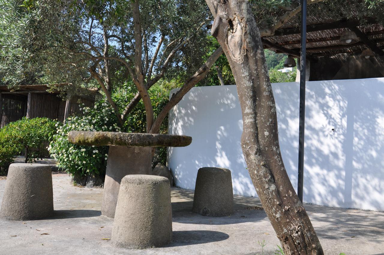 Hotel La Marticana Ischia Dış mekan fotoğraf