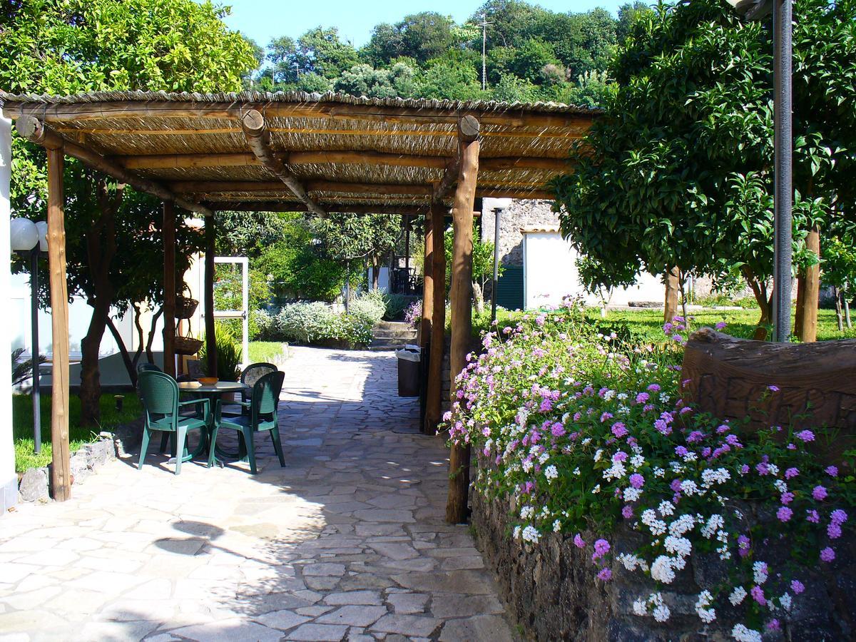 Hotel La Marticana Ischia Dış mekan fotoğraf