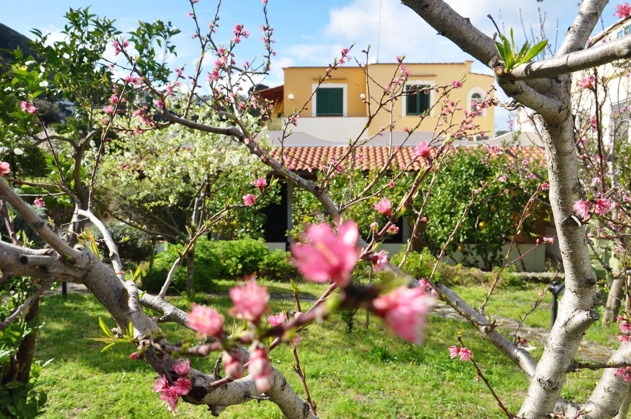 Hotel La Marticana Ischia Dış mekan fotoğraf